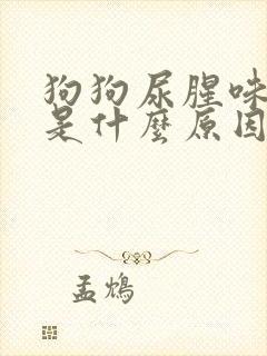 狗狗尿腥味很重是什么原因