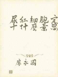 尿红细胞定性1十什么意思