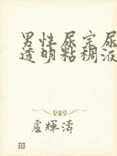 男性尿完尿后有透明粘稠液体