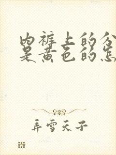 内裤上的分泌物是黄色的怎么回事