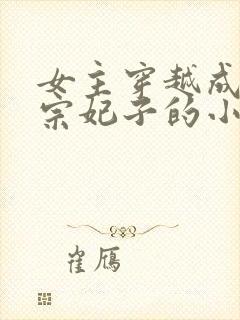 女主穿越成宋仁宗妃子的小说