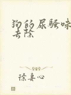 狗的尿骚味怎么去除