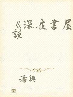 《深夜书屋》小说
