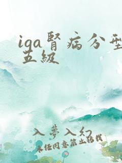 iga肾病分型五级