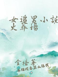 女追男小说追妻火葬场