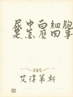 尿中白细胞阳性是怎么回事