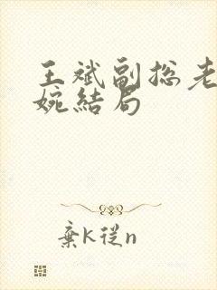 王斌副总老婆林婉结局