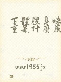 下体腥臭味比较重是什么原因