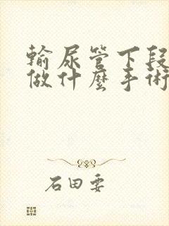 输尿管下段结石做什么手术