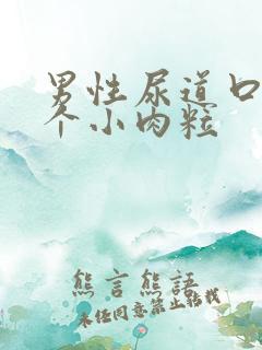 男性尿道口内有个小肉粒