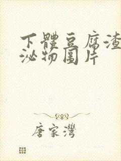 下体豆腐渣状分泌物图片