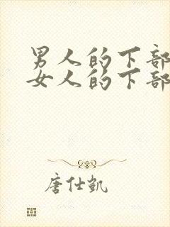 男人的下部进入女人的下部的视频