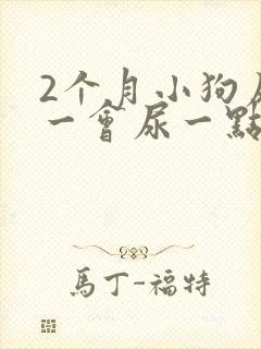 2个月小狗尿频一会尿一点