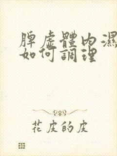 脾虚体内湿气重如何调理