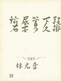 输尿管下段小结石要多久排出