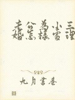 老公为小三要离婚怎样处理