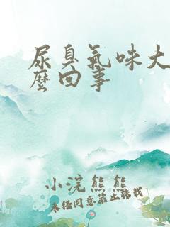 尿臭气味大是怎么回事