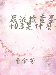 尿液检查蛋白质+0.3是什么意思