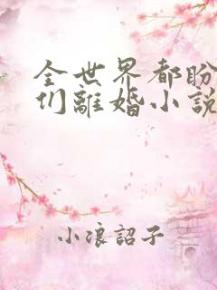 全世界都盼着我们离婚小说