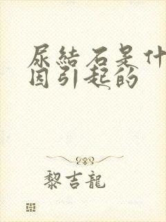 尿结石是什么原因引起的