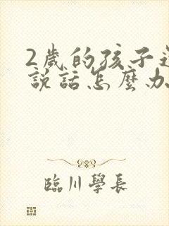 2岁的孩子还不说话怎么办