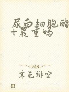 尿白细胞酯酶2+严重吗