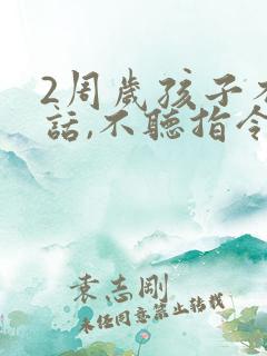 2周岁孩子不说话,不听指令