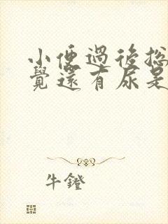 小便过后总是感觉还有尿是什么原因