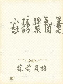 小孩脾气暴躁易怒的原因是什么?