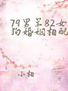 79男羊82女狗婚姻相配好吗