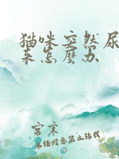 猫咪突然尿不出来怎么办