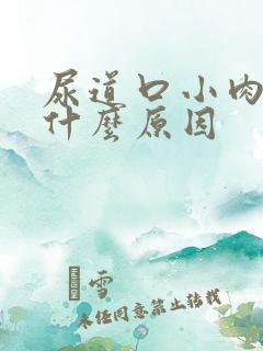 尿道口小肉粒是什么原因