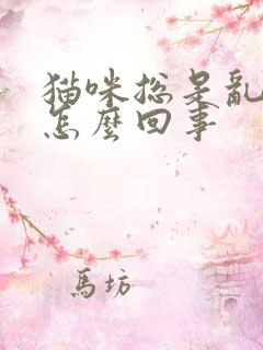 猫咪总是乱尿是怎么回事