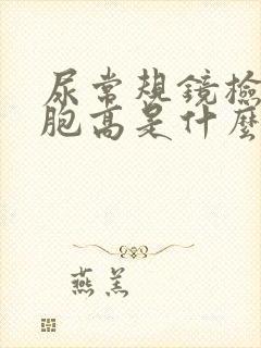 尿常规镜检红细胞高是什么原因