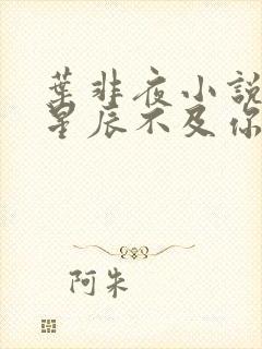 叶非夜小说亿万星辰不及你