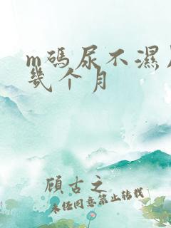 m码尿不湿用到几个月