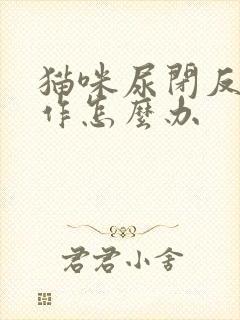 猫咪尿闭反复发作怎么办