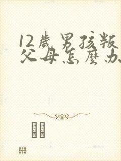 12岁男孩叛逆父母怎么办