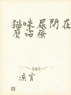 猫咪尿闭在家怎么治疗