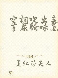 空调吹出来的风有尿骚味怎么回事