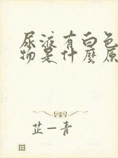 尿液有白色絮状物是什么原因