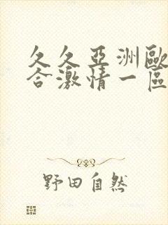 久久亚洲欧美综合激情一区