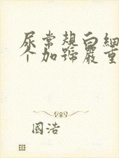 尿常规白细胞一个加号严重吗