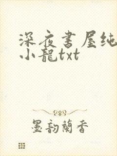 深夜书屋纯洁滴小龙txt