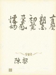 怀孕初期有大姨妈感觉怎么回事