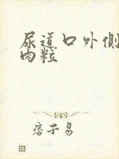 尿道口外侧长小肉粒