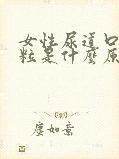 女性尿道口长肉粒是什么原因