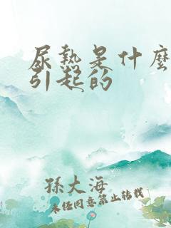 尿热是什么原因引起的