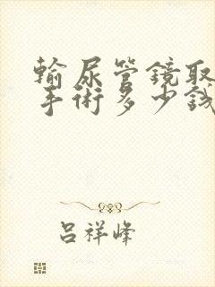 输尿管镜取结石手术多少钱