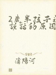 2岁半孩子还不说话的原因